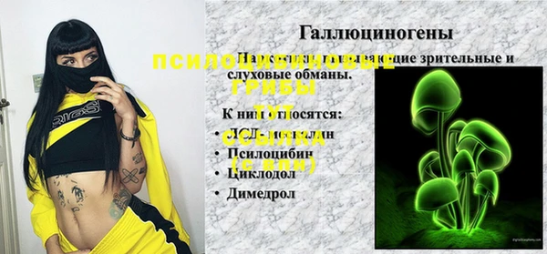 стаф Абдулино