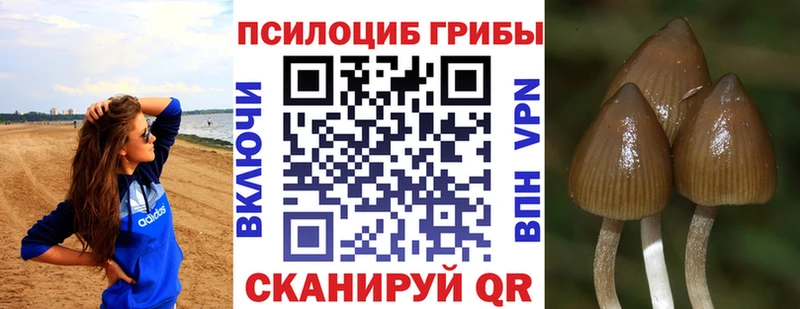 Галлюциногенные грибы MAGIC MUSHROOMS  Сальск 