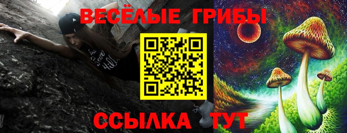 Галлюциногенные грибы MAGIC MUSHROOMS  Вход с VPN  Сальск  Галлюциногенные грибы мицелий 
